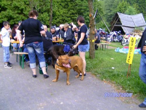 BILD0960